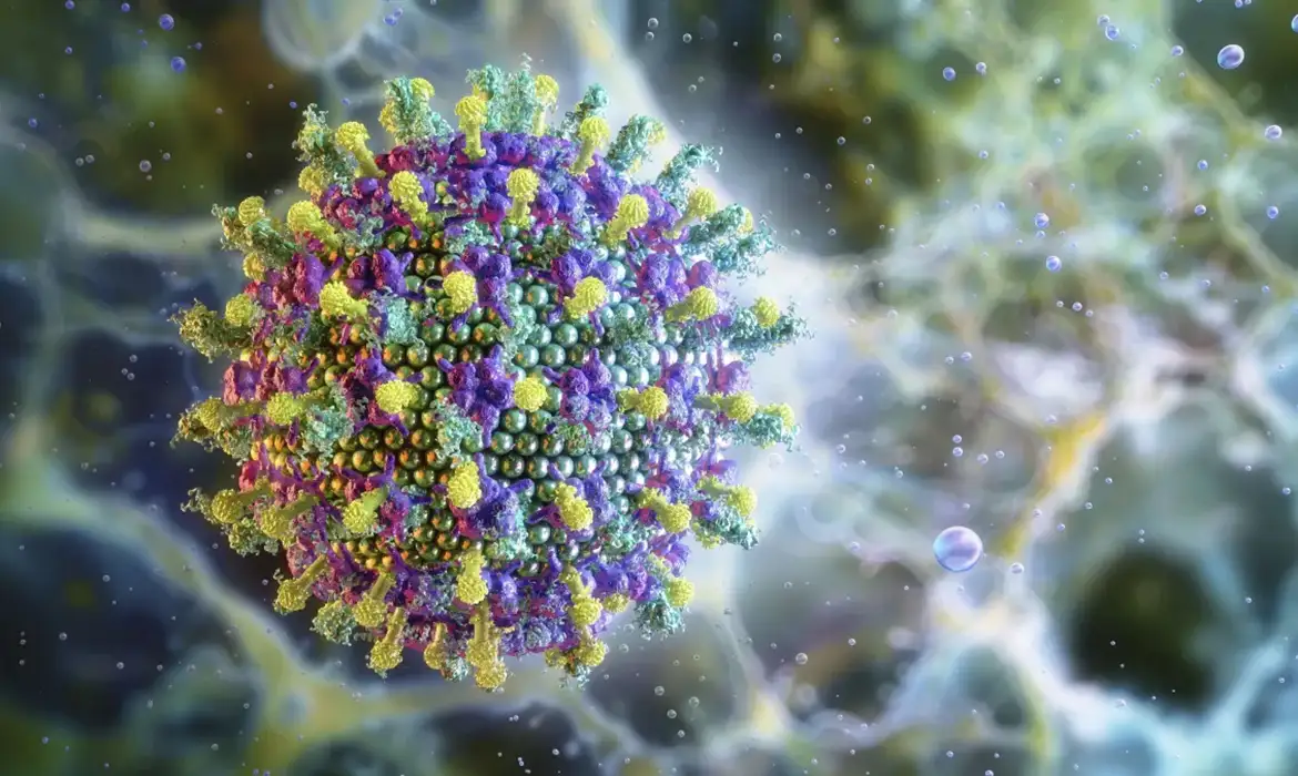 Vírus Nipah: o que ele é, por que preocupa e como se proteger